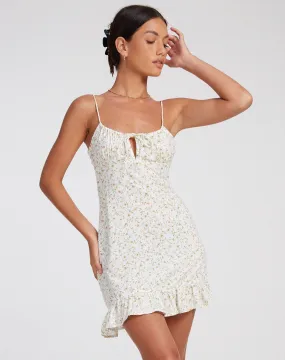 Alaca Mini Dress in Pretty Petal Ivory