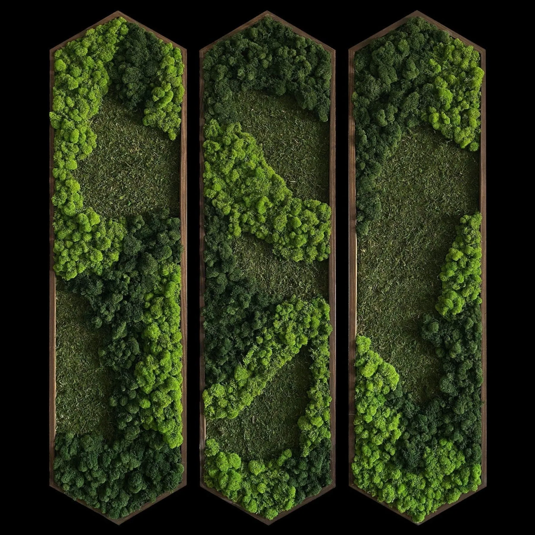 Extended Hexagon Moss Art